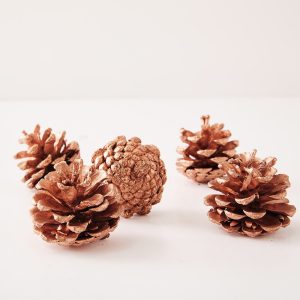 Noël cuivré - 10 pommes de pin décoratives