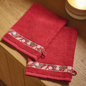 Promesse de bonheur - 2 gants de toilette