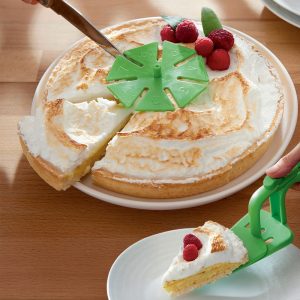 Rêve Tropical - Pelle à tarte + 4 marqueurs